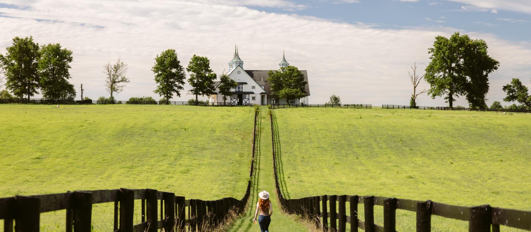 在列克星敦马场漫步欣赏美景