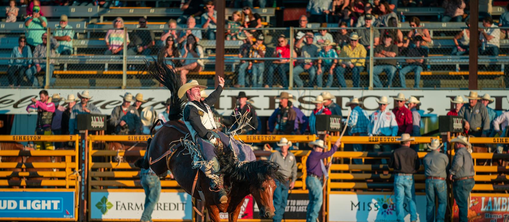 野马骑术比赛只是 Sikeston Jaycee Bootheel Rodeo 竞技场众多精彩西部赛事的其中之一 野马骑术比赛只是 Sikeston Jaycee Bootheel Rodeo 竞技场众多精彩西部赛事的其中之一