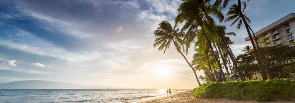 夏威夷州茂宜岛卡阿纳帕利沙滩上的棕榈树