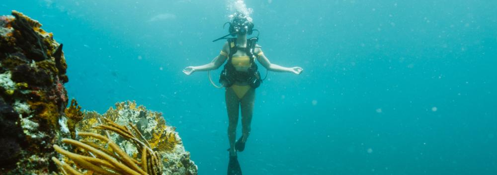 在美属维尔京群岛的圣约翰岛海岸享受潜水之趣